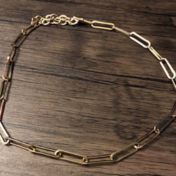 Gold Colored Chain Necklace - Picture 3 of 5